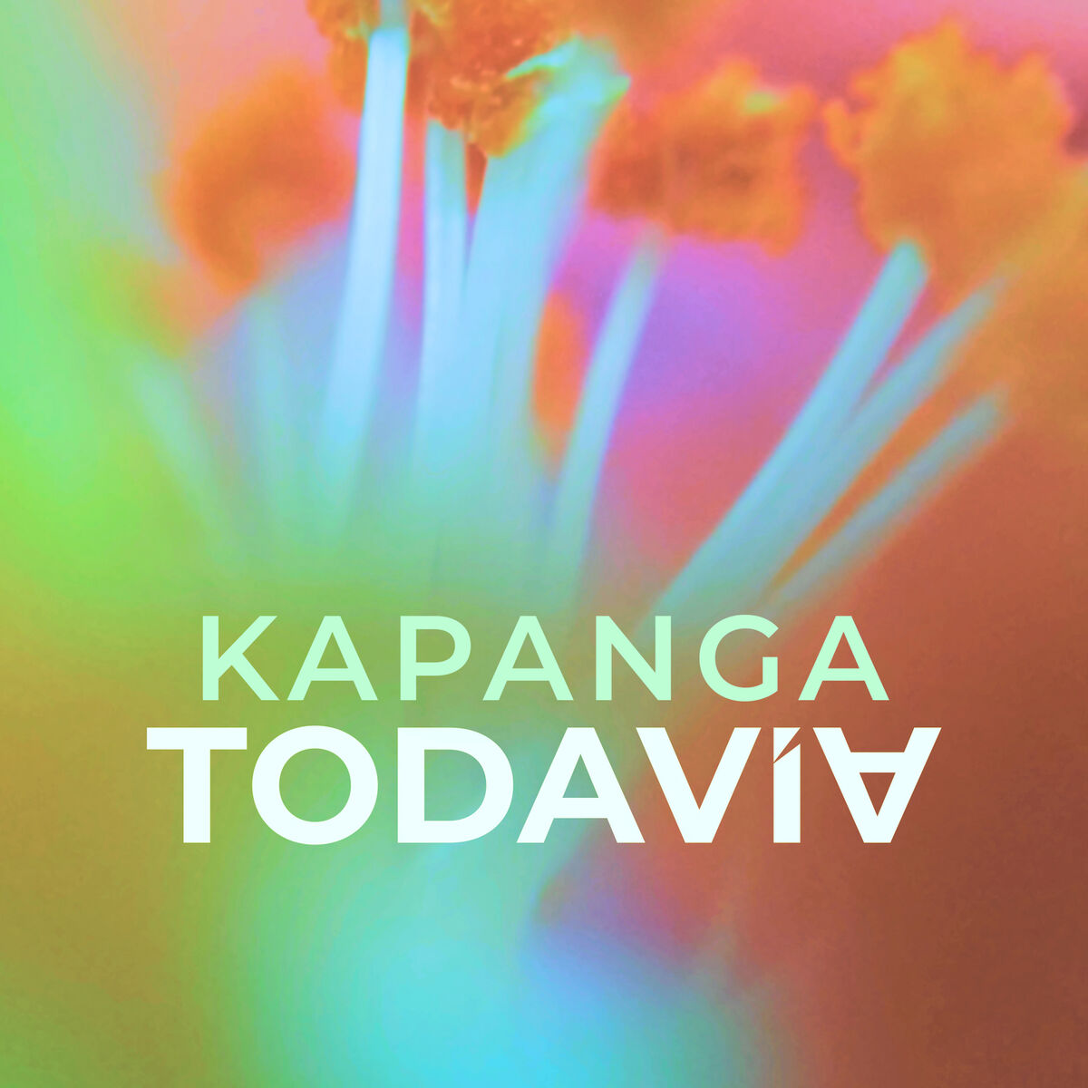 Album cover of Todavía