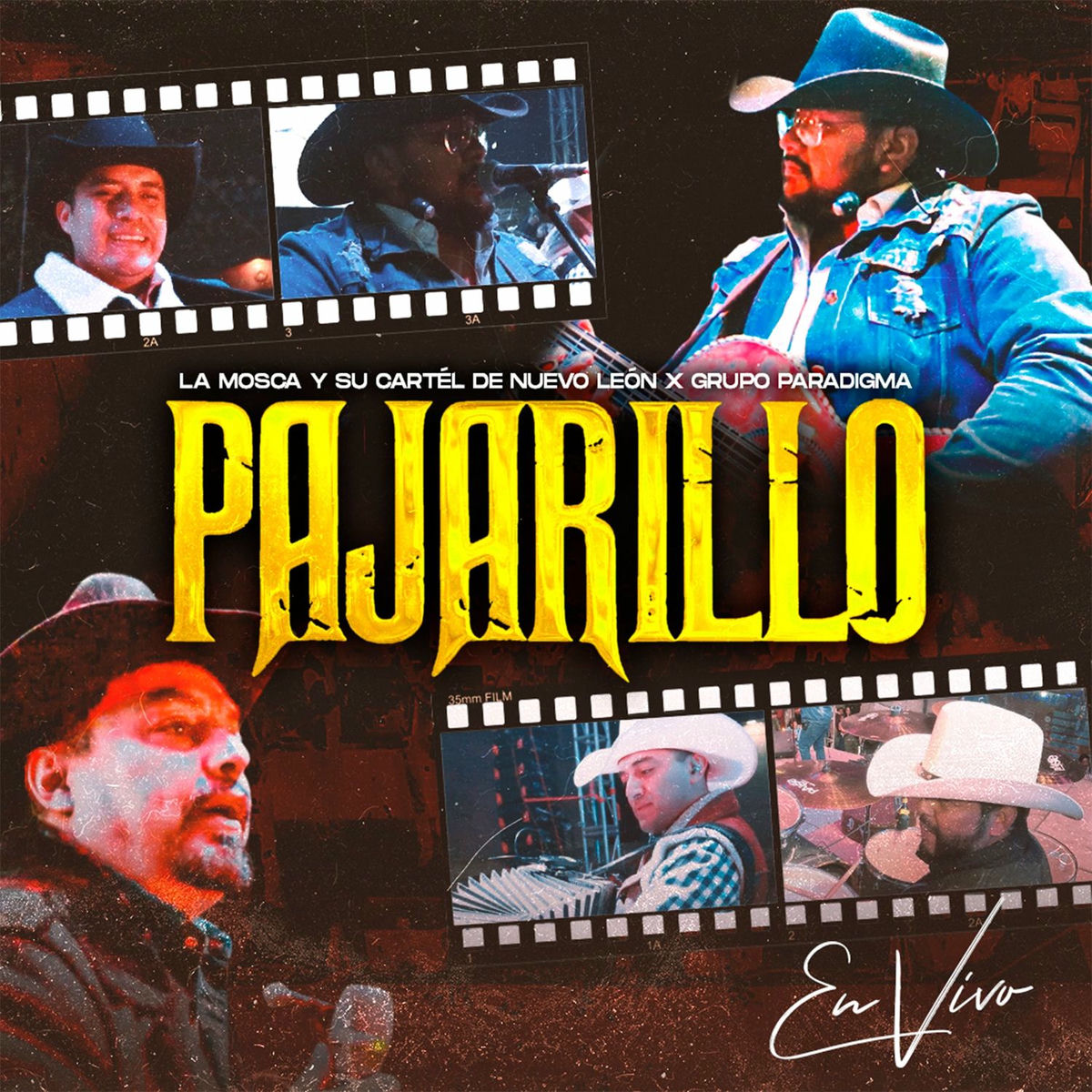 Album cover of Pajarillo (En Vivo)