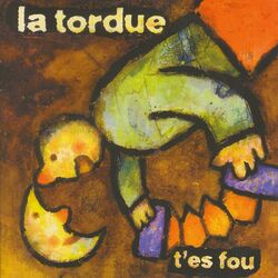 Cover of T'es fou