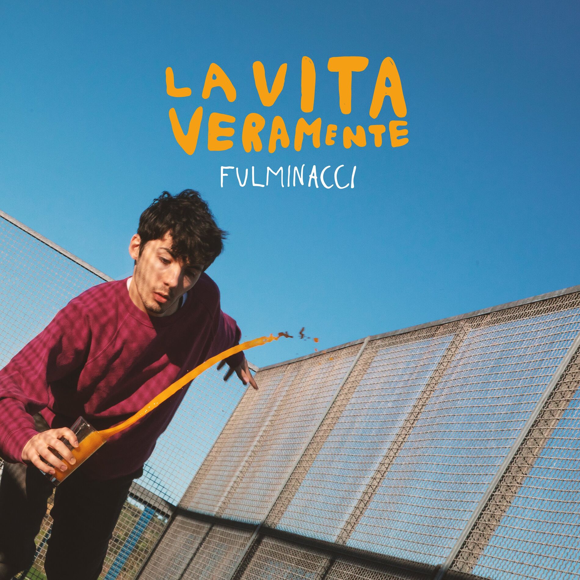 Album cover of La Vita Veramente