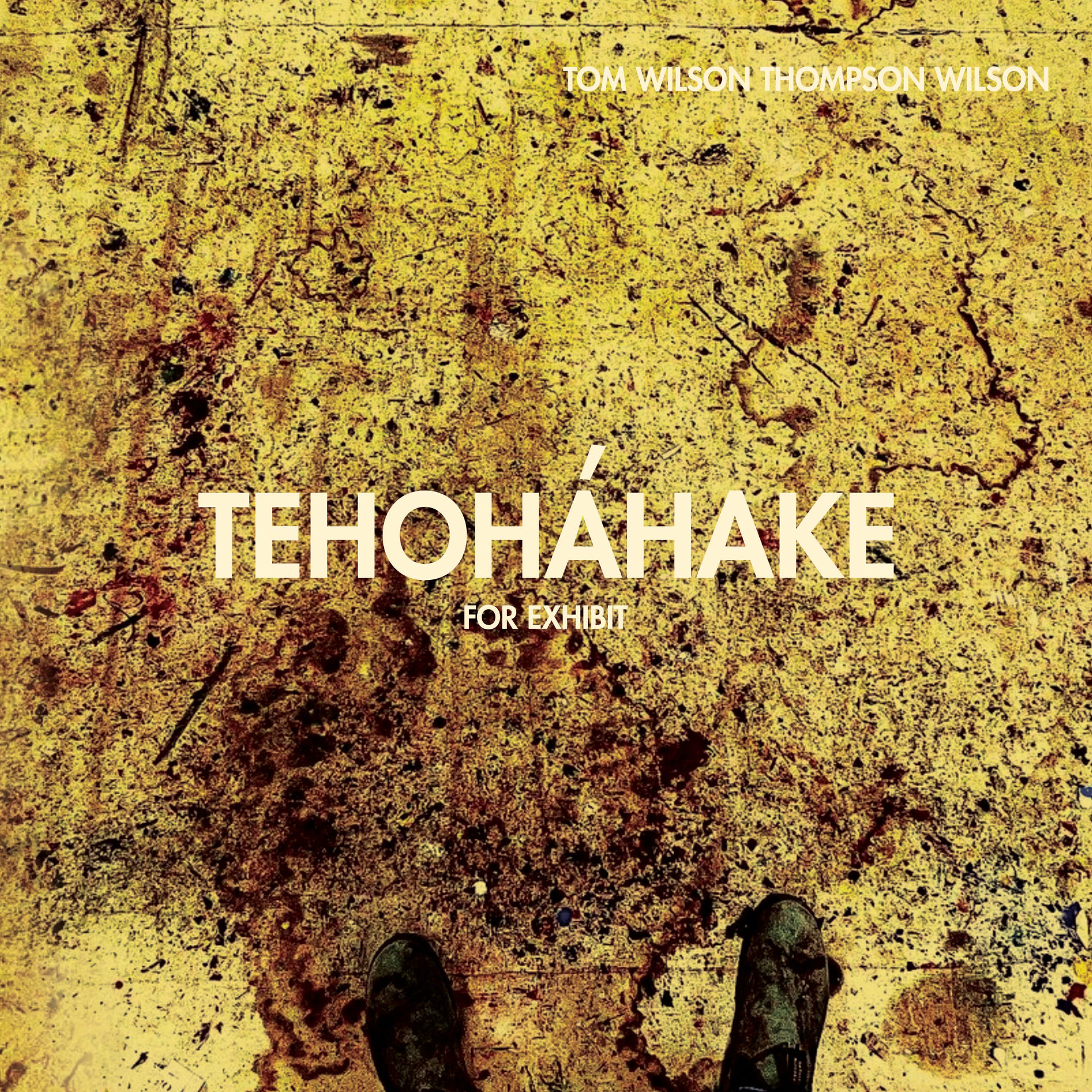 Album cover of TEHOHA'HAKE FOR EXHIBIT (Extended Version)