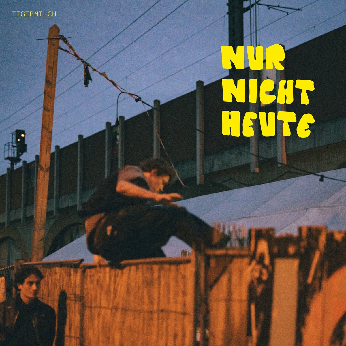Album cover of Nur nicht heute