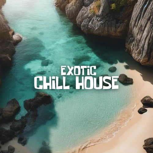 Exotic Chill House: Sunny Relax, Beach Chillout, Summer Vacations Chill 2024