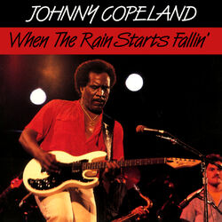 Cover of When The Rain Starts Fallin'