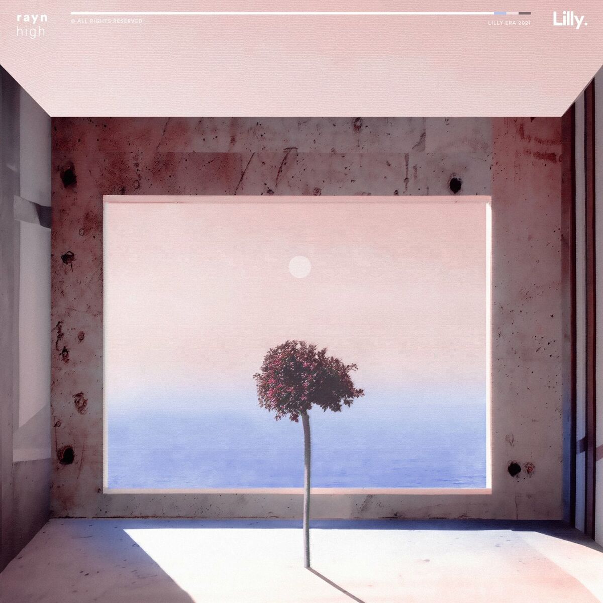 Album cover of high