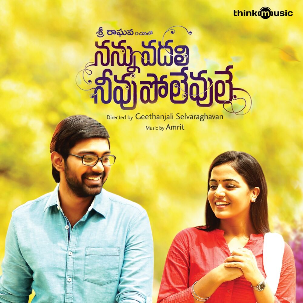 Picture of Nannu Vadali Neevu Polevule (Original Motion Picture Soundtrack)