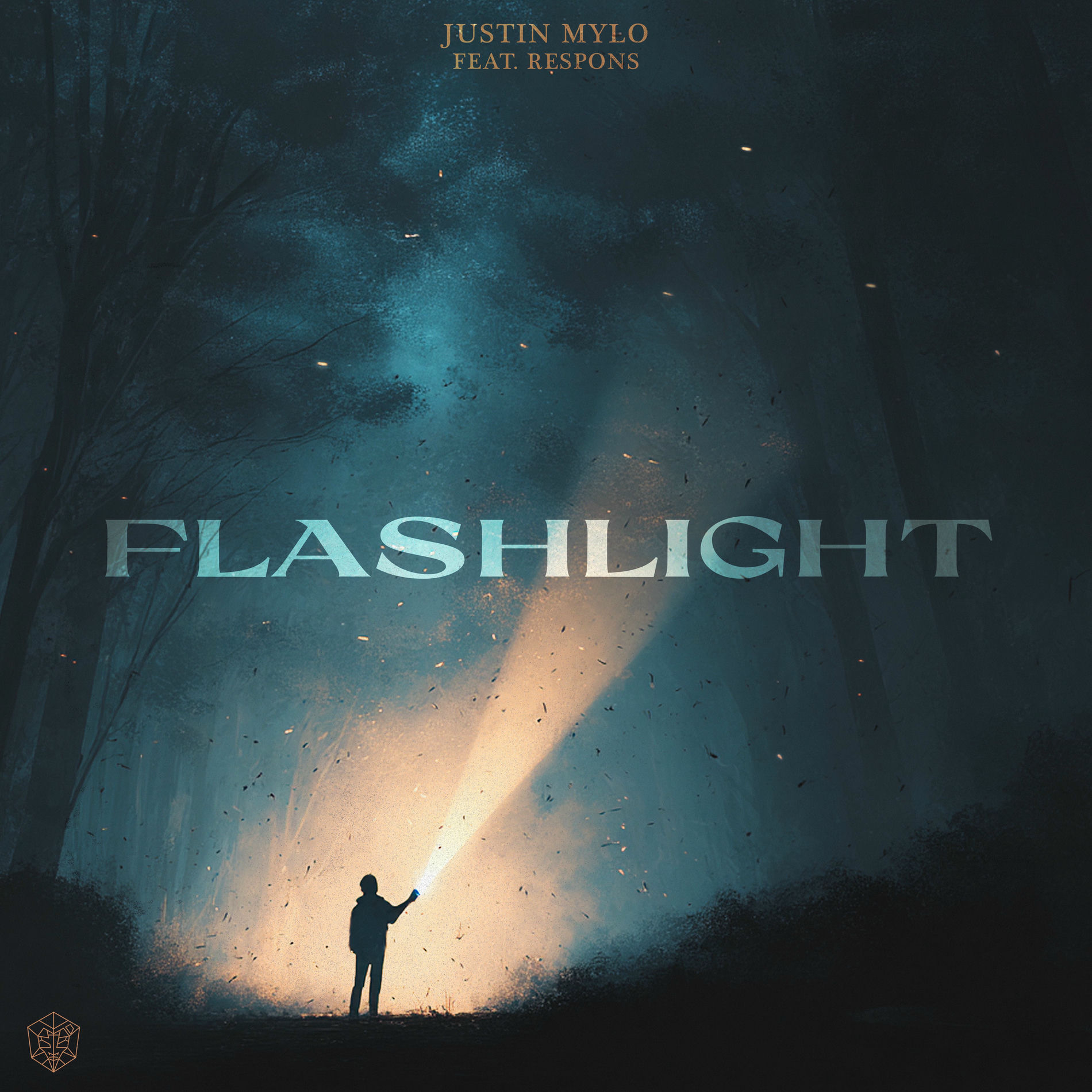 Album cover of Flashlight