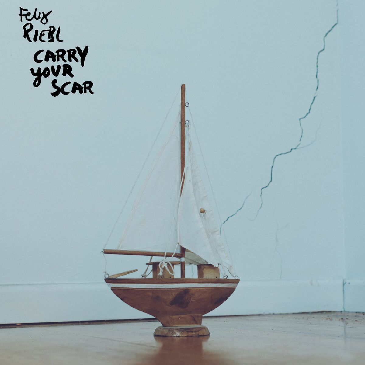 Album cover of Carry Your Scar