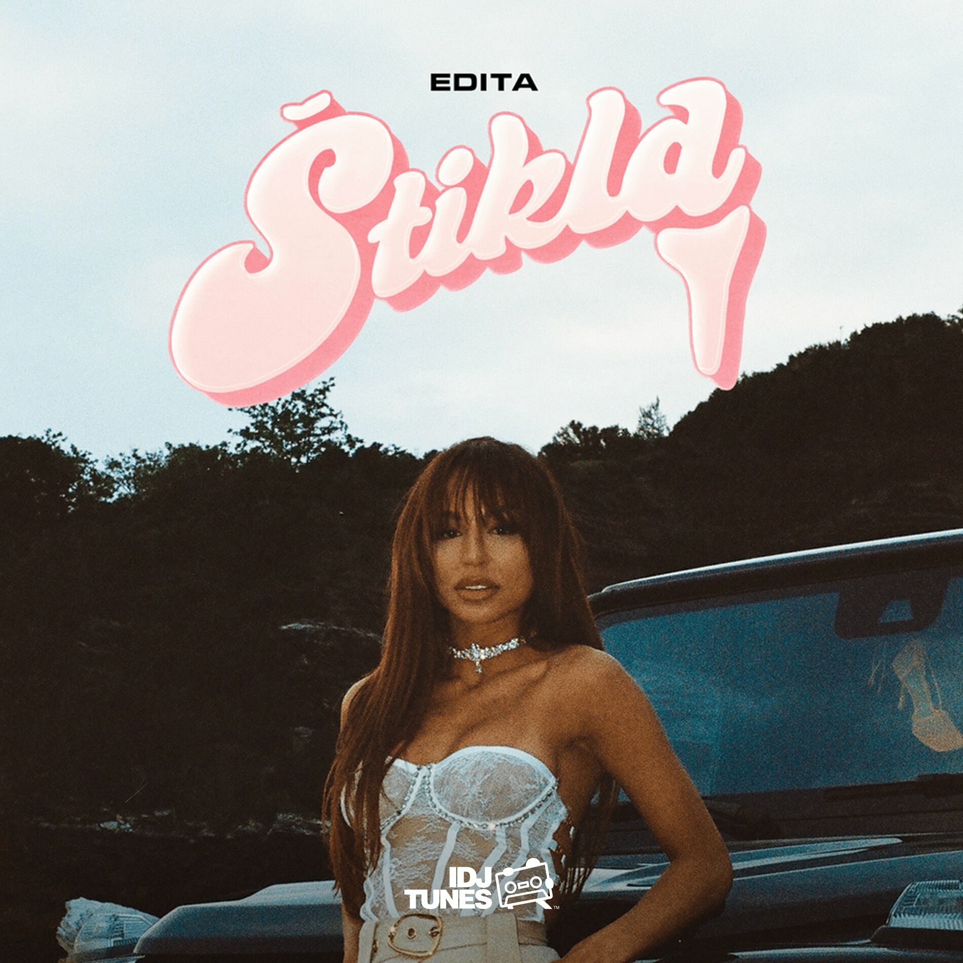 Album cover of Stikla