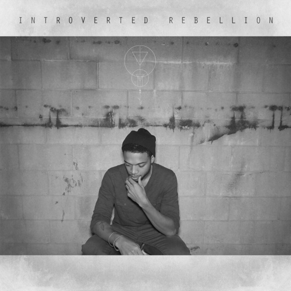Picture of Introverted Rebellion