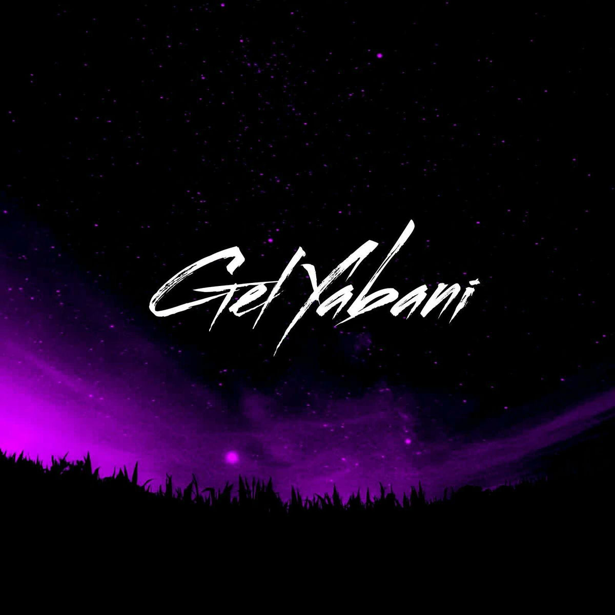 Album cover of Gel Yabani (Remix)