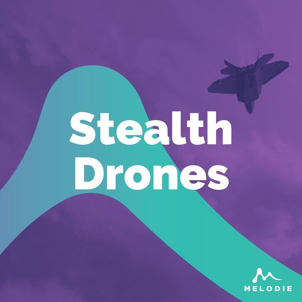 Picture of Stealth Drones