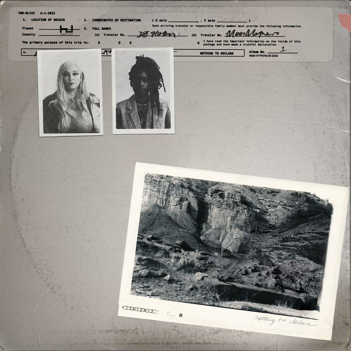 Album cover of Nothing To Declare