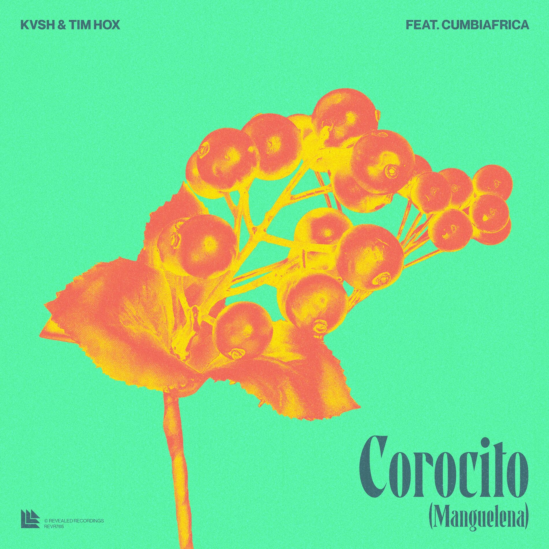 Album cover of Corocito (Manguelena)