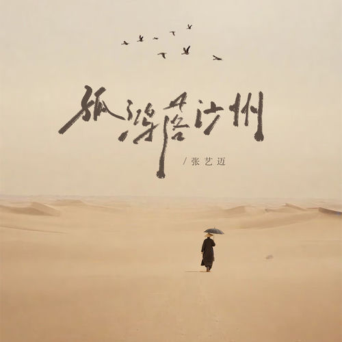 孤鸿落沙州