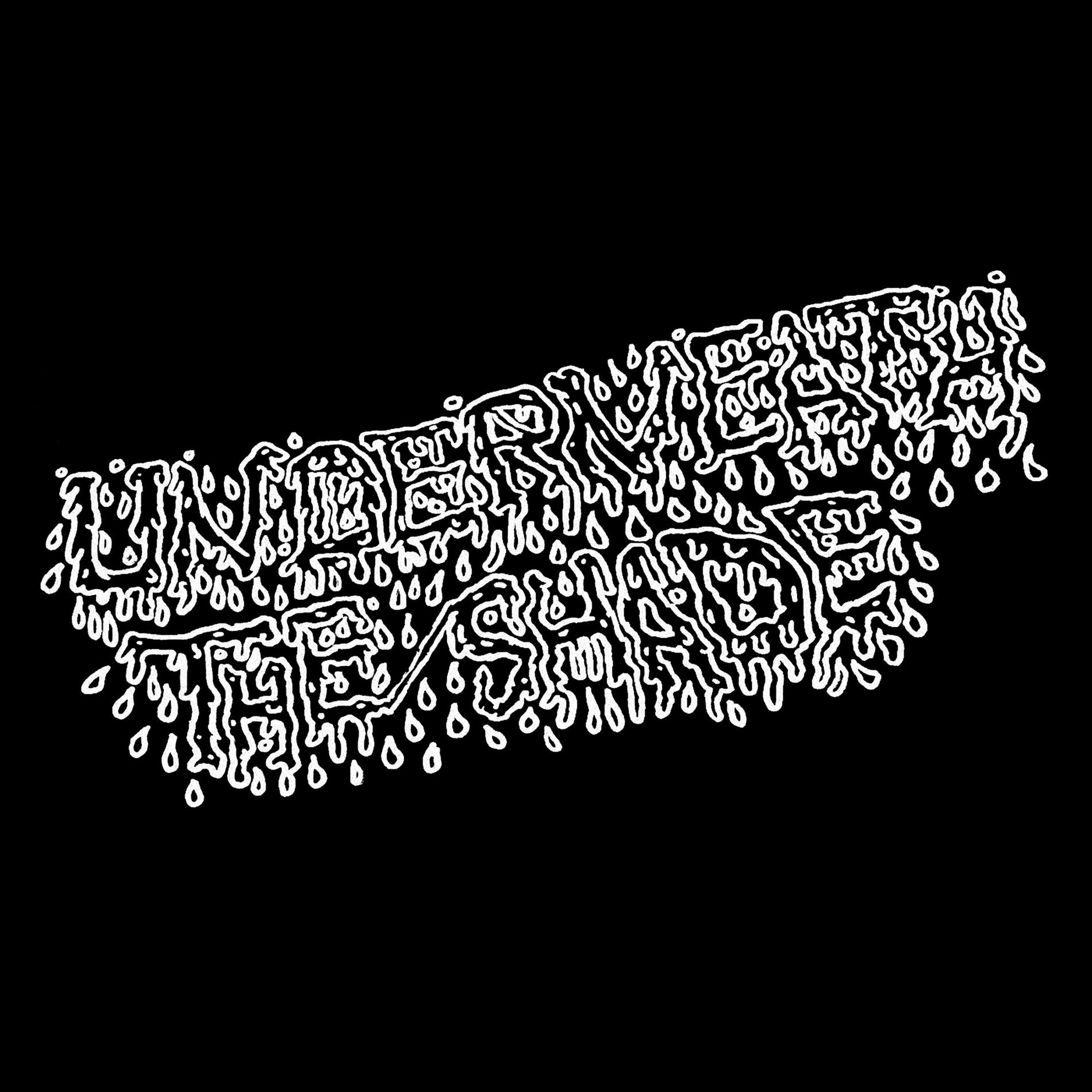 Album cover of Skyflowers