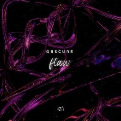 Cover of obscure flaw