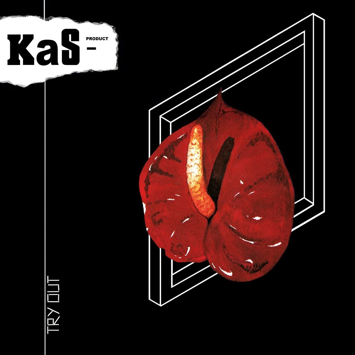 Album cover of Never Come Back