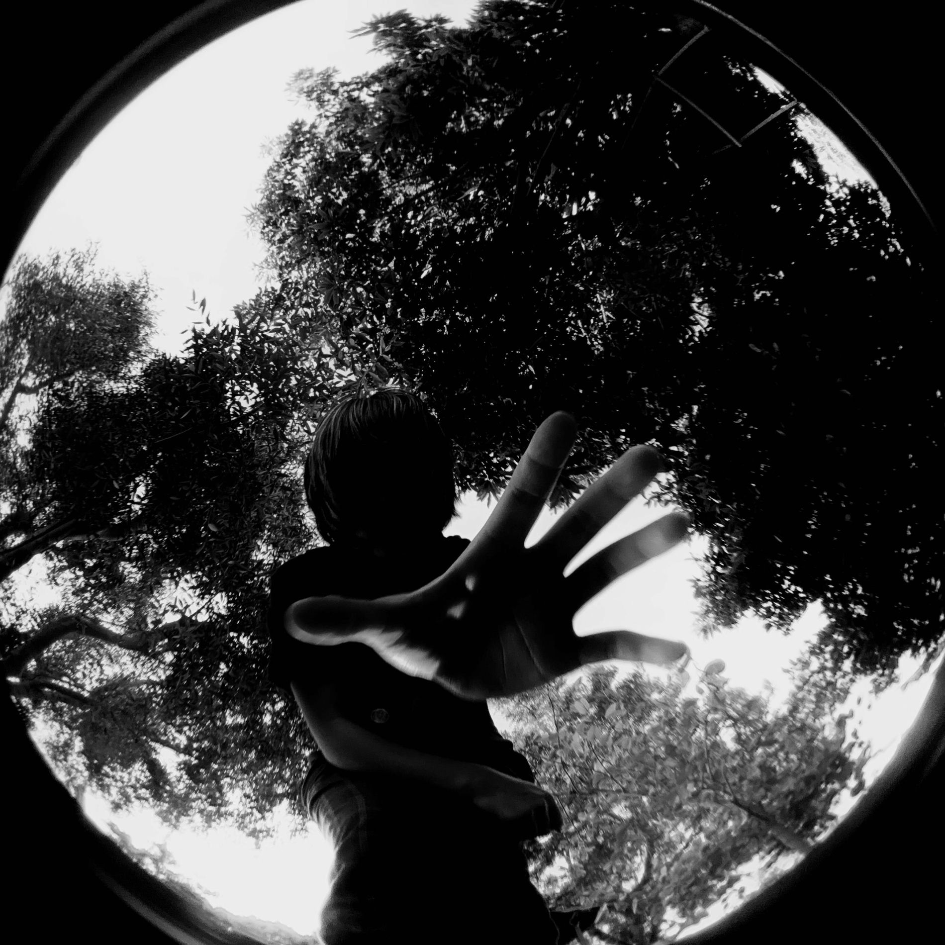 Album cover of Erosion