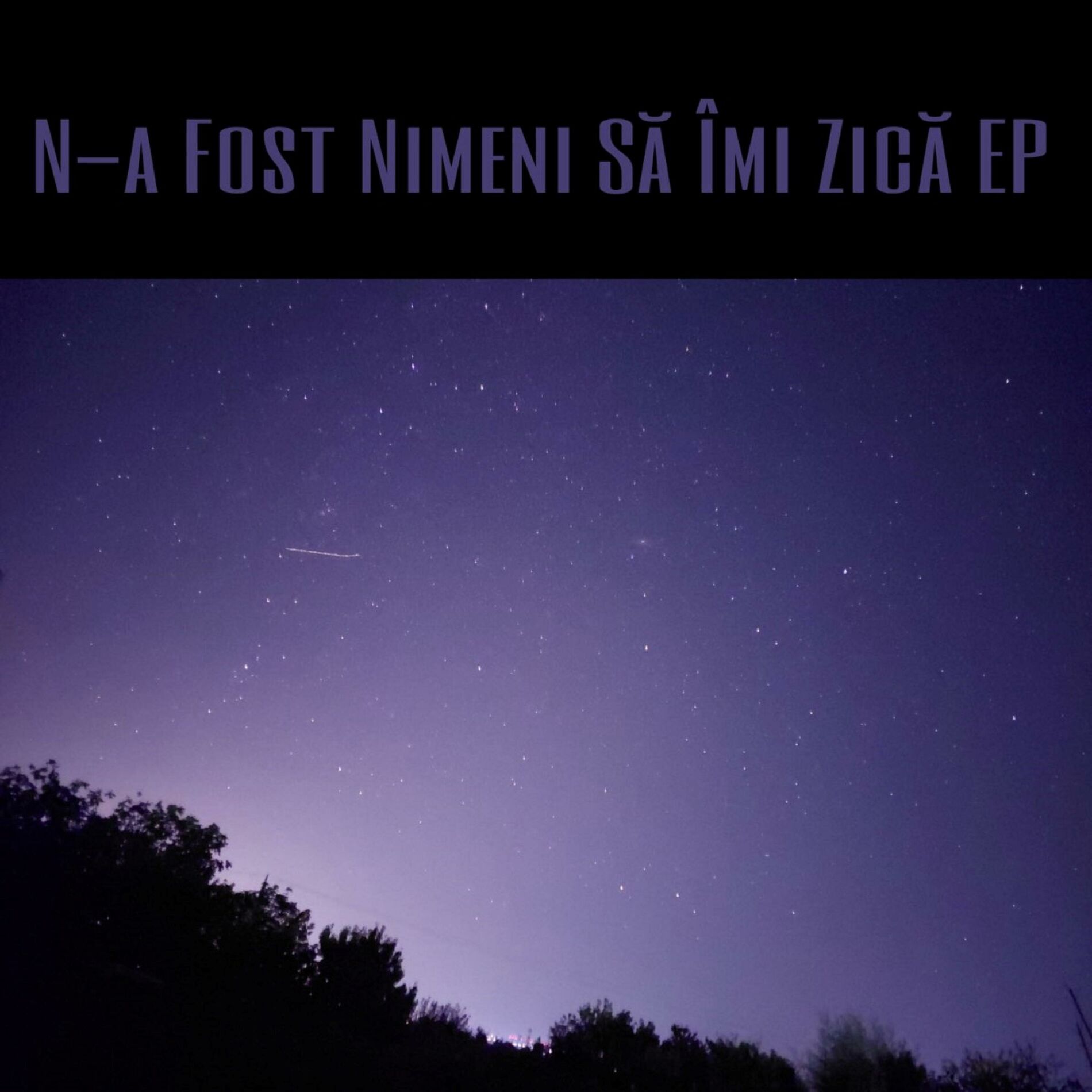 Album cover of N-a Fost Nimeni Să Îmi Zică EP