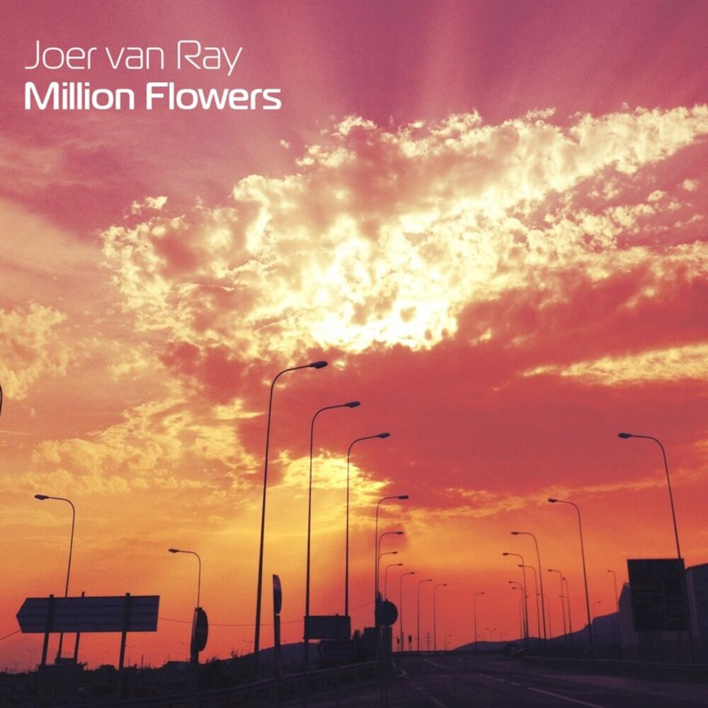 Picture of Million Flowers