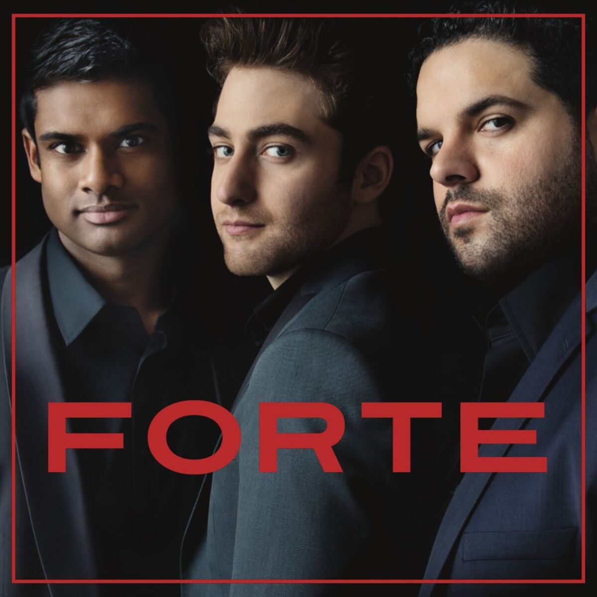 Album cover of Forte