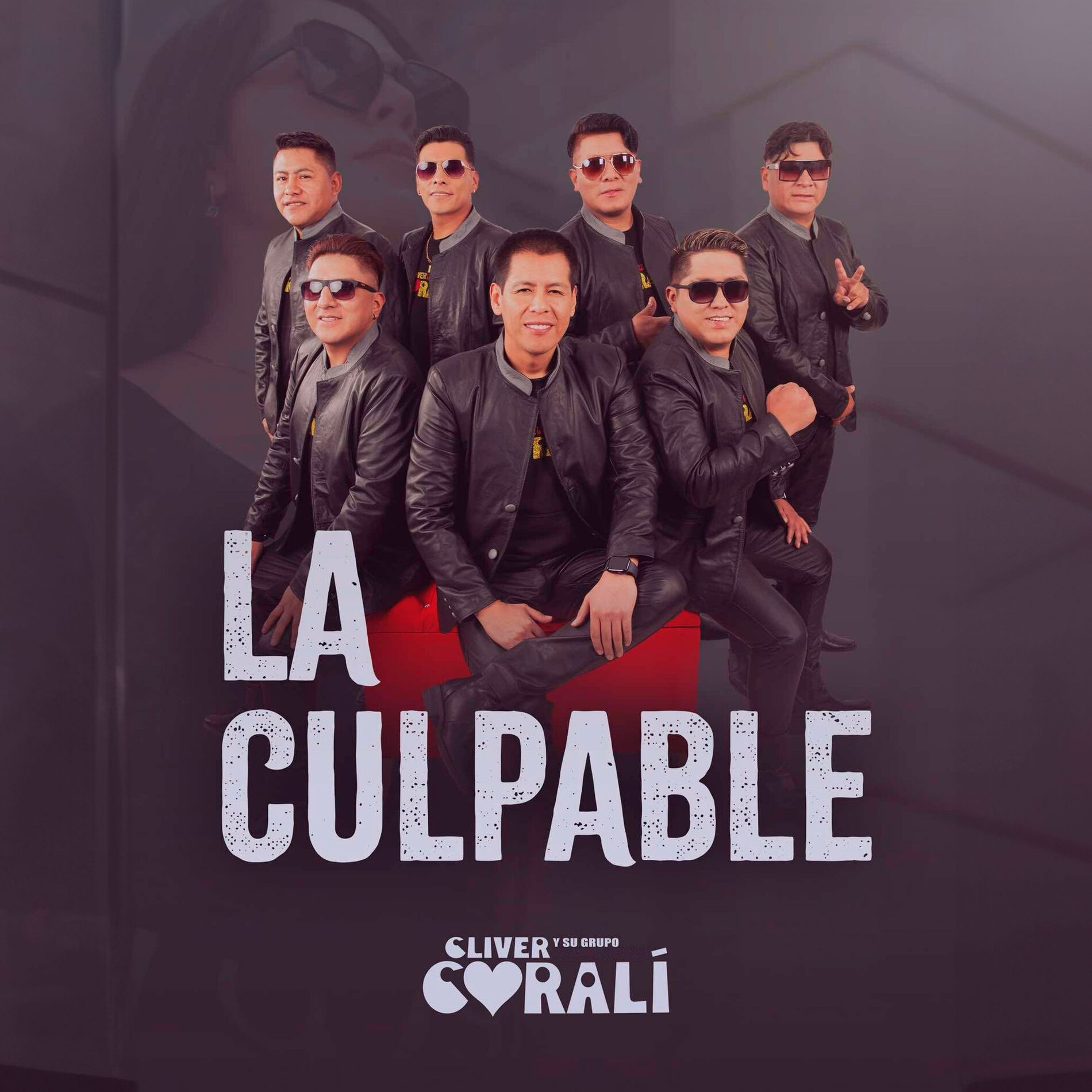 Album cover of La culpable