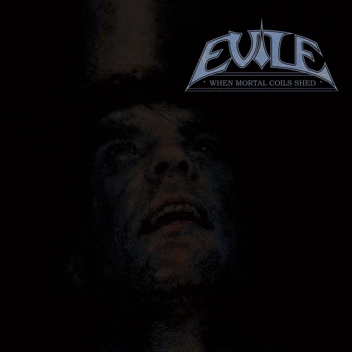 Album cover of When Mortal Coils Shed