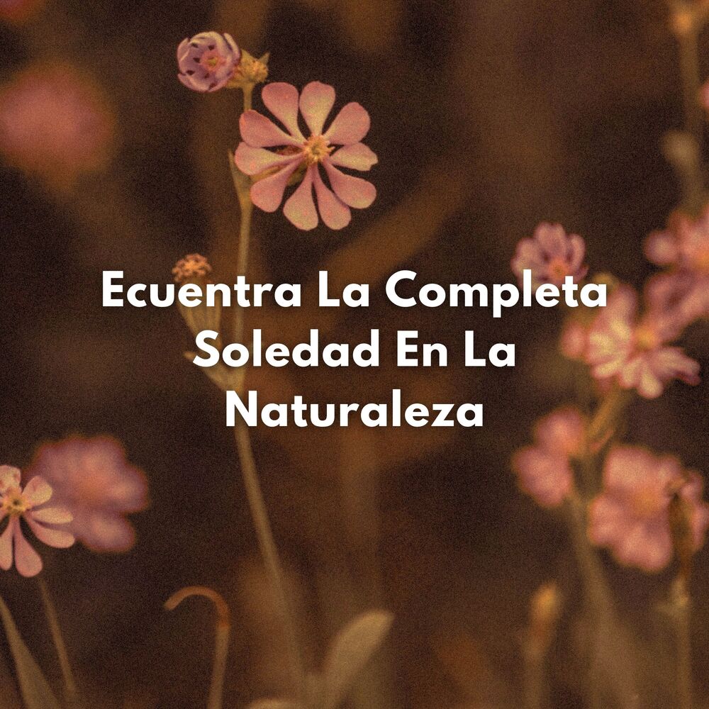 Picture of Ecuentra La Completa Soledad En La Naturaleza