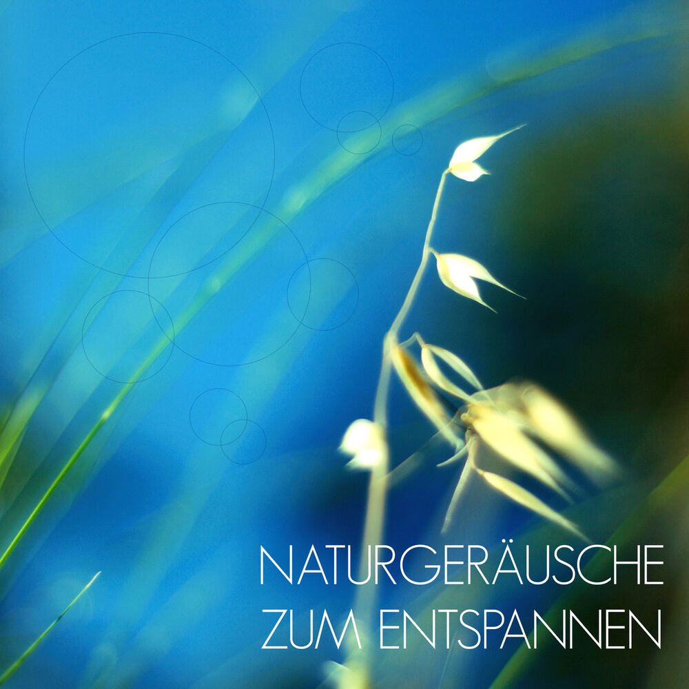 Picture of Naturgeräusche zum Entspannen - Musik zur Entspannung und Meditation mit Klänge der Natur als Einschlafhilfe