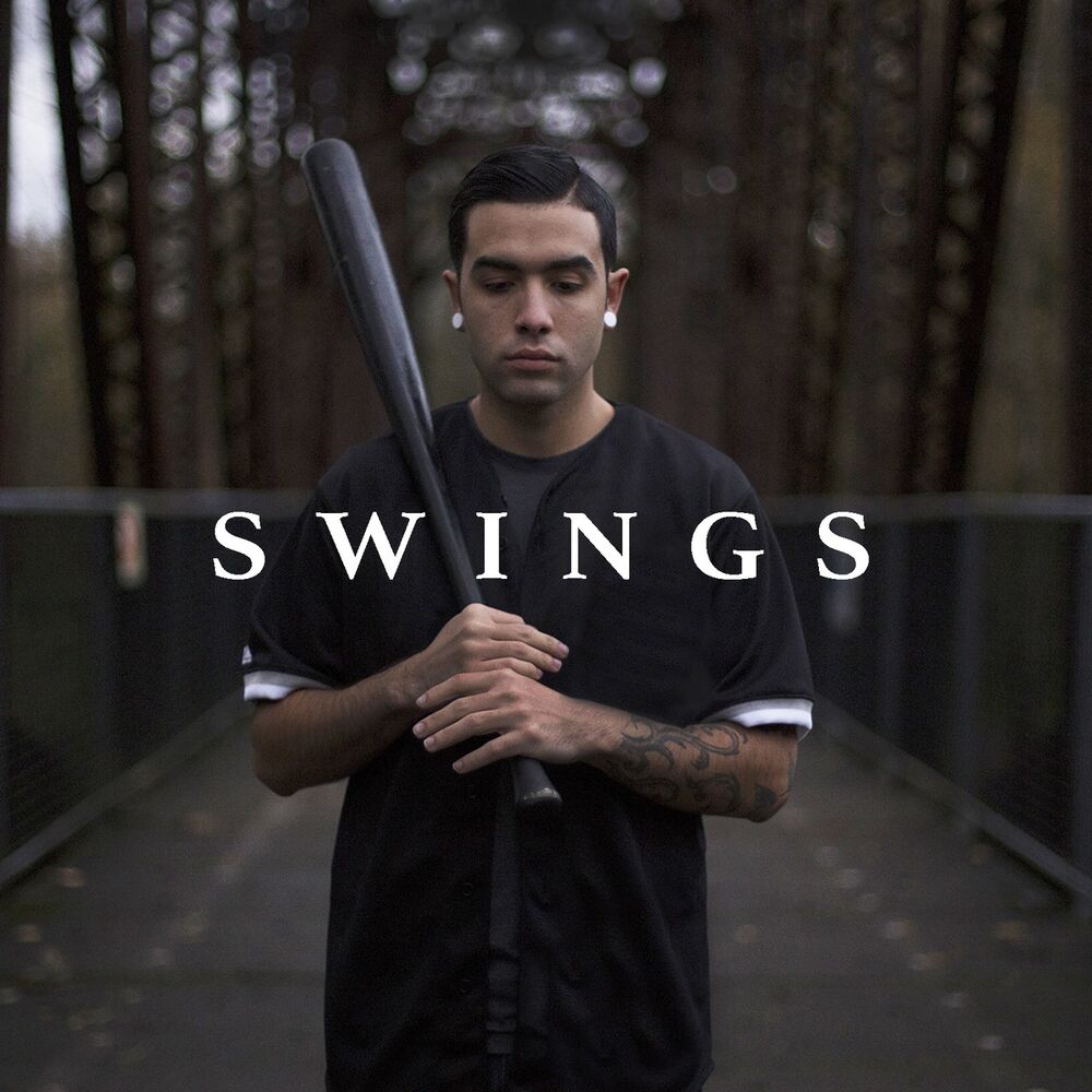Picture of Swings