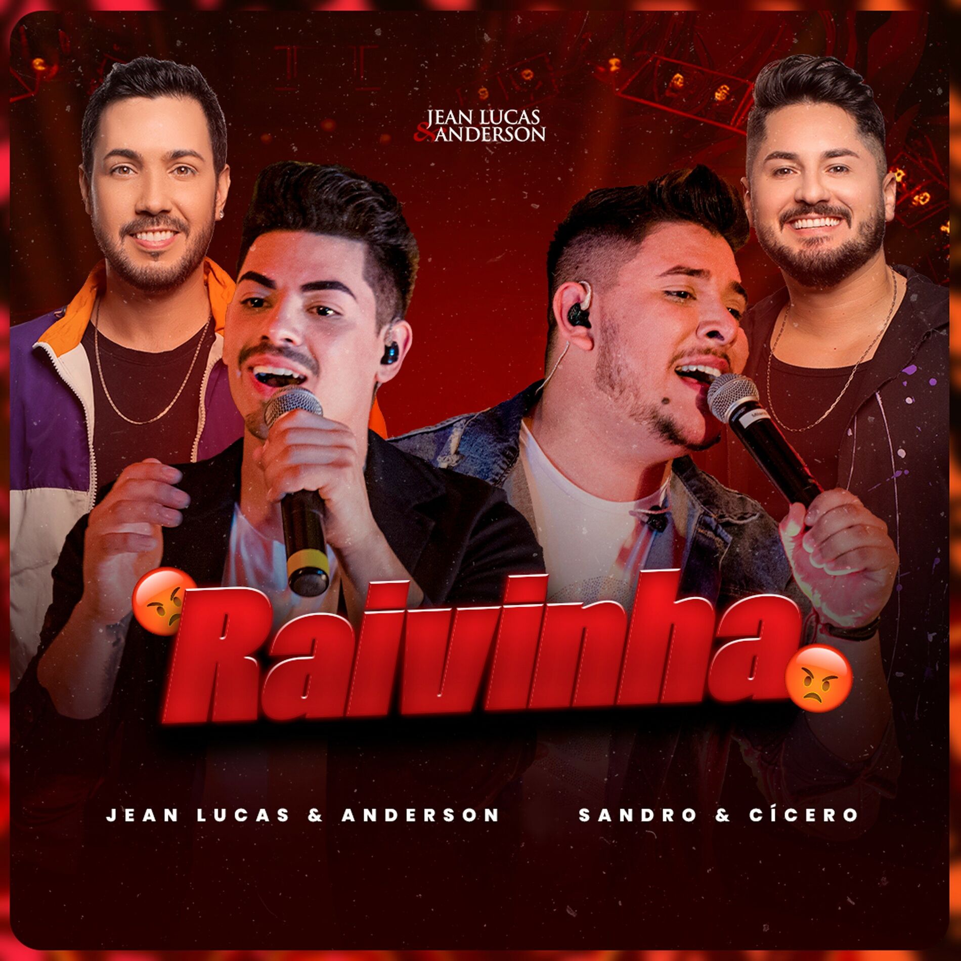 Album cover of Raivinha