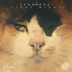 Cover of Light Night
