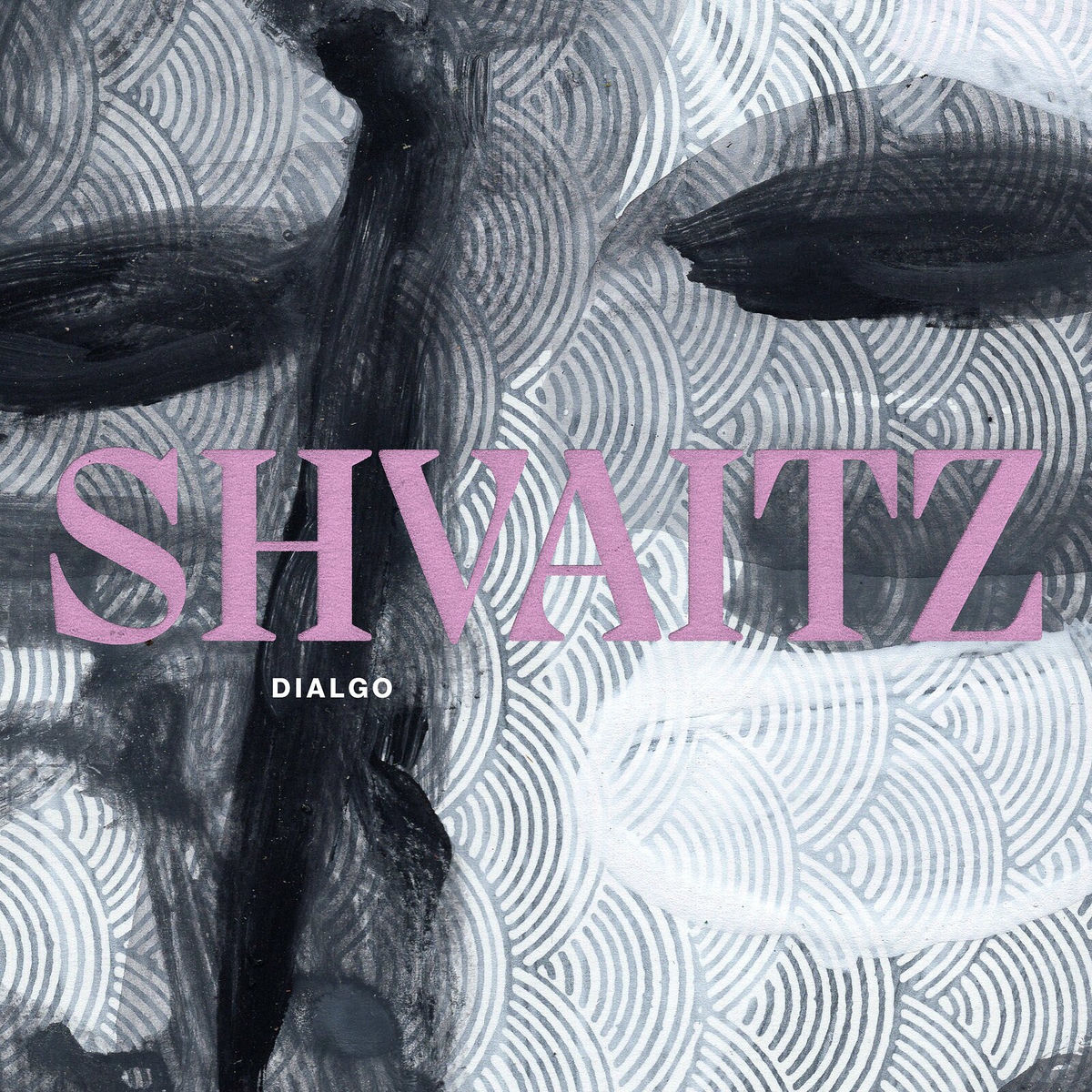 Album cover of Shvaitz