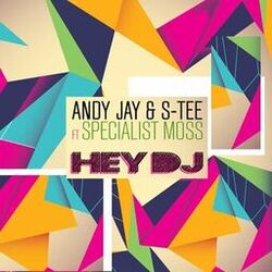 Cover of Hey DJ