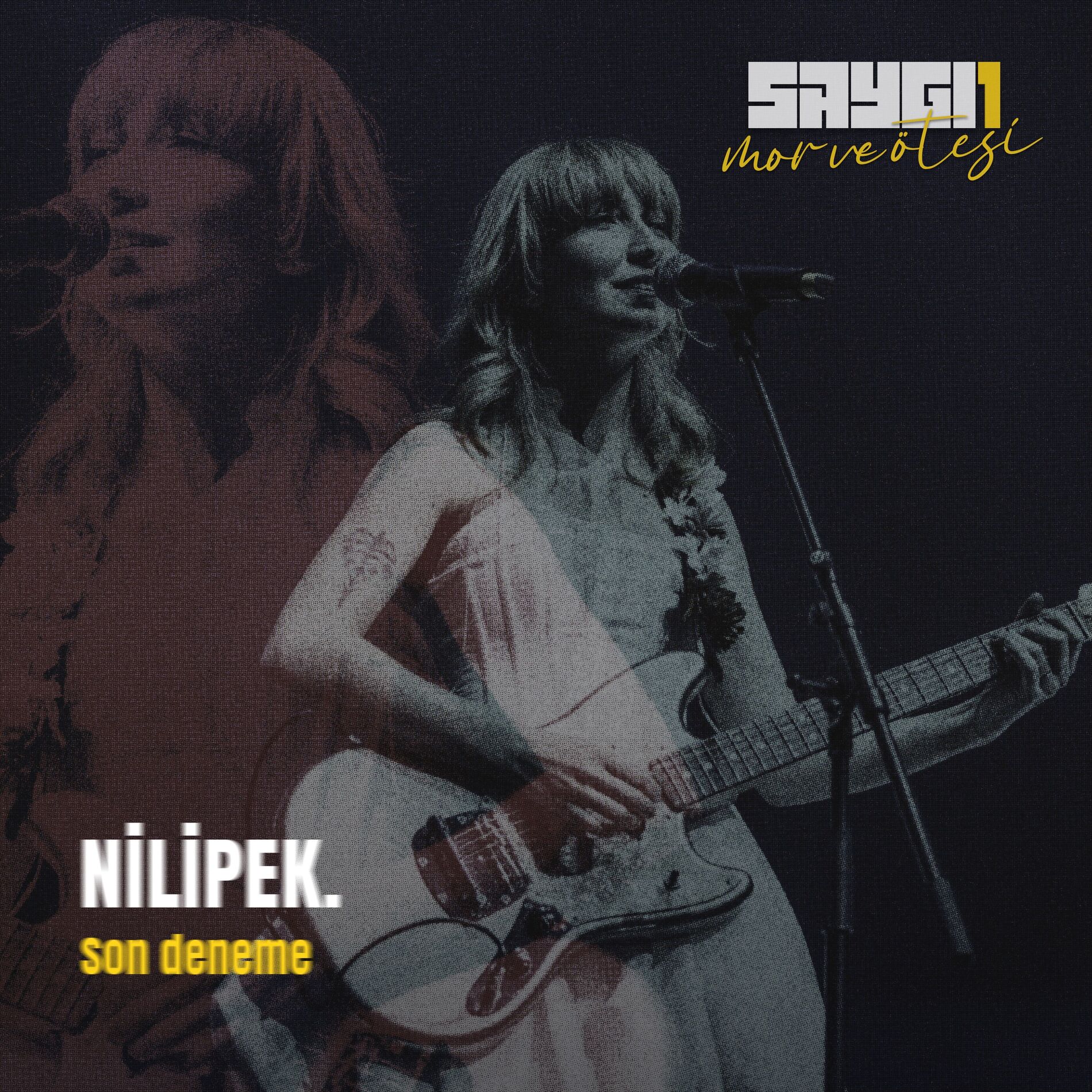 Album cover of Son Deneme (Saygi1)