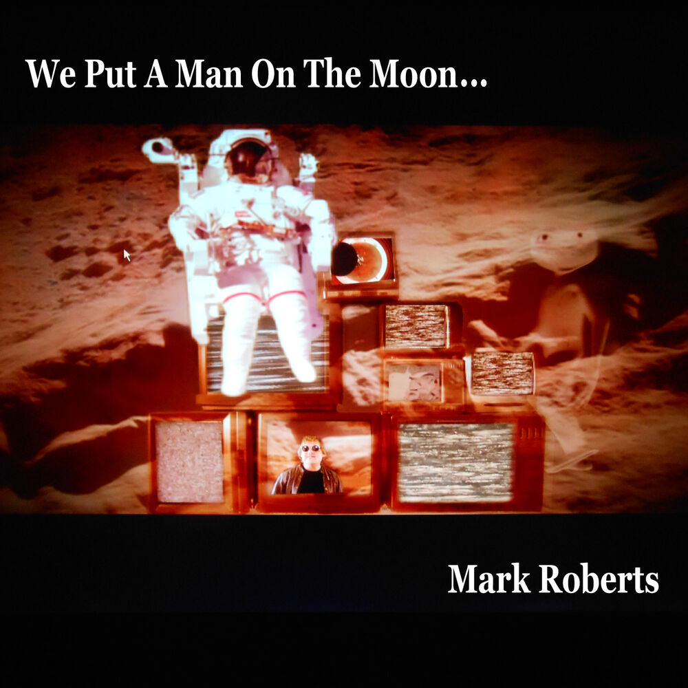 Picture of We Put a Man on the Moon