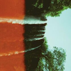 gratitude: movements i & ii