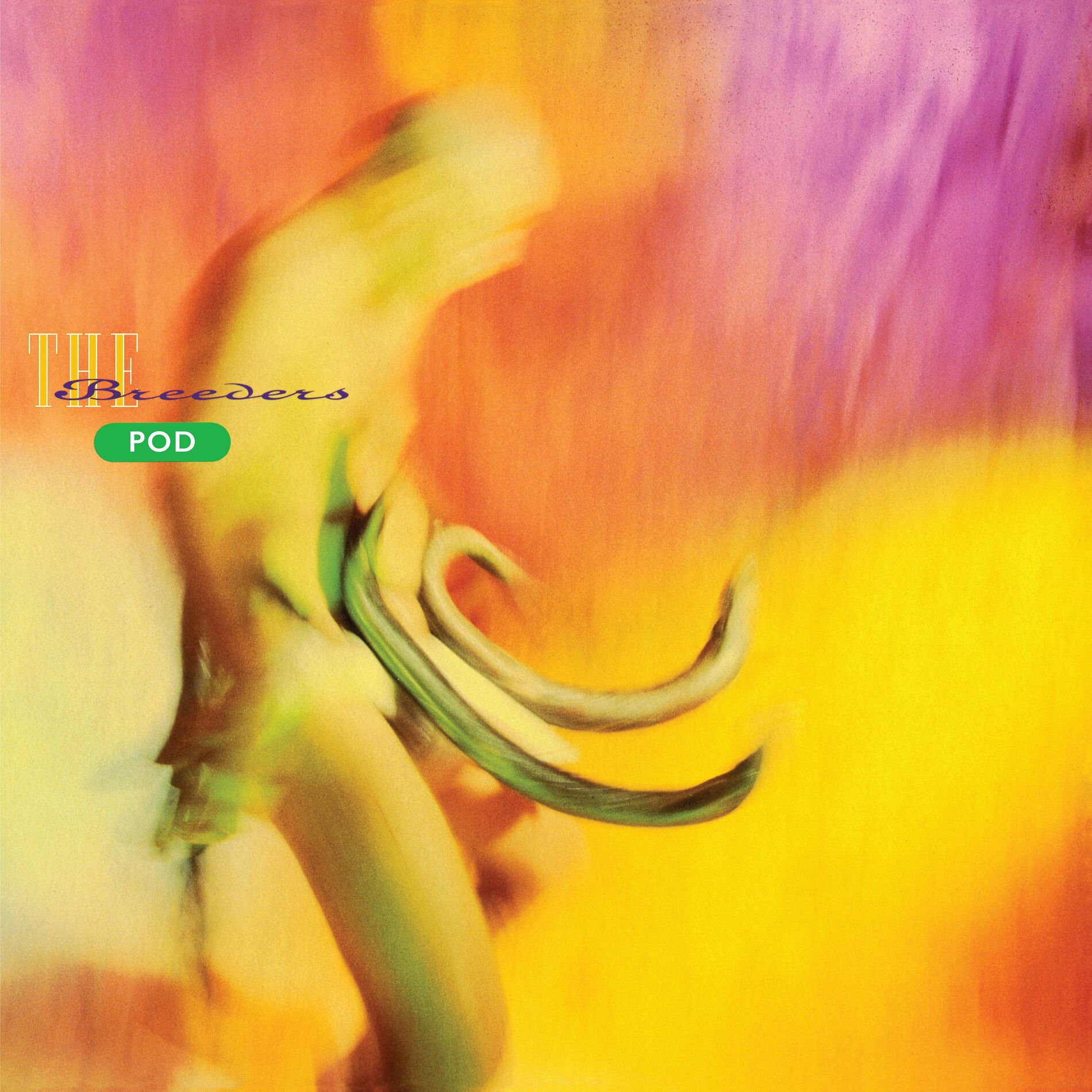 Album cover of When I Was A Painter