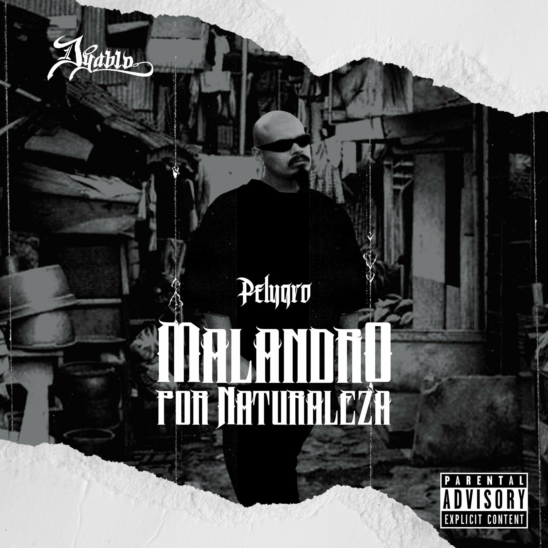 Album cover of Malandro por Naturaleza