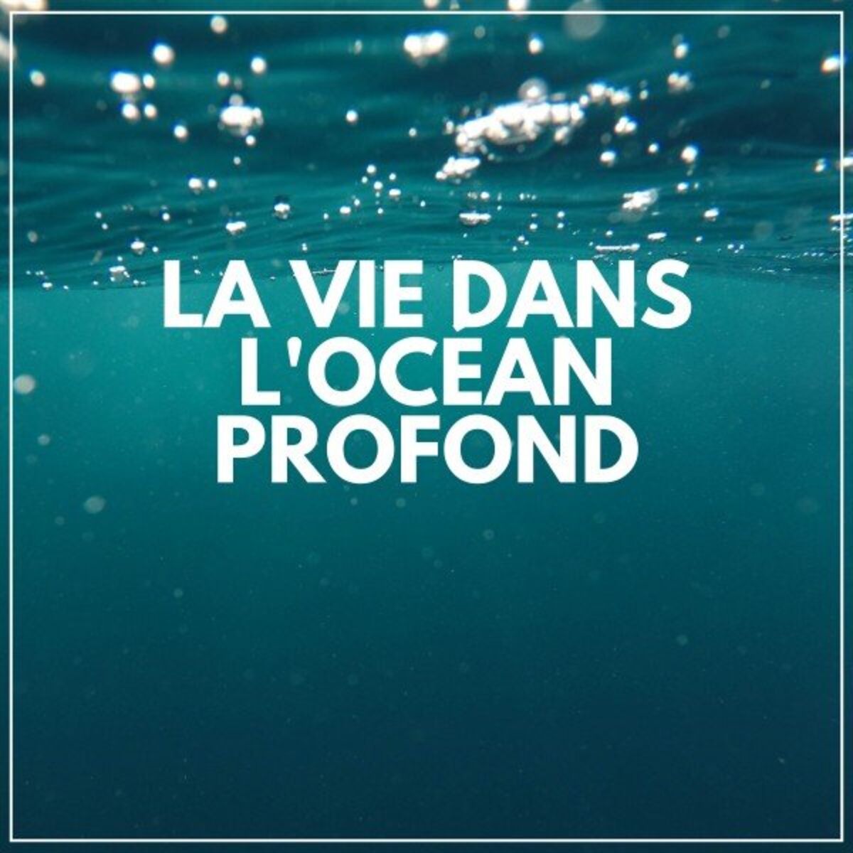 Album cover of La Vie Dans L'océan Profond