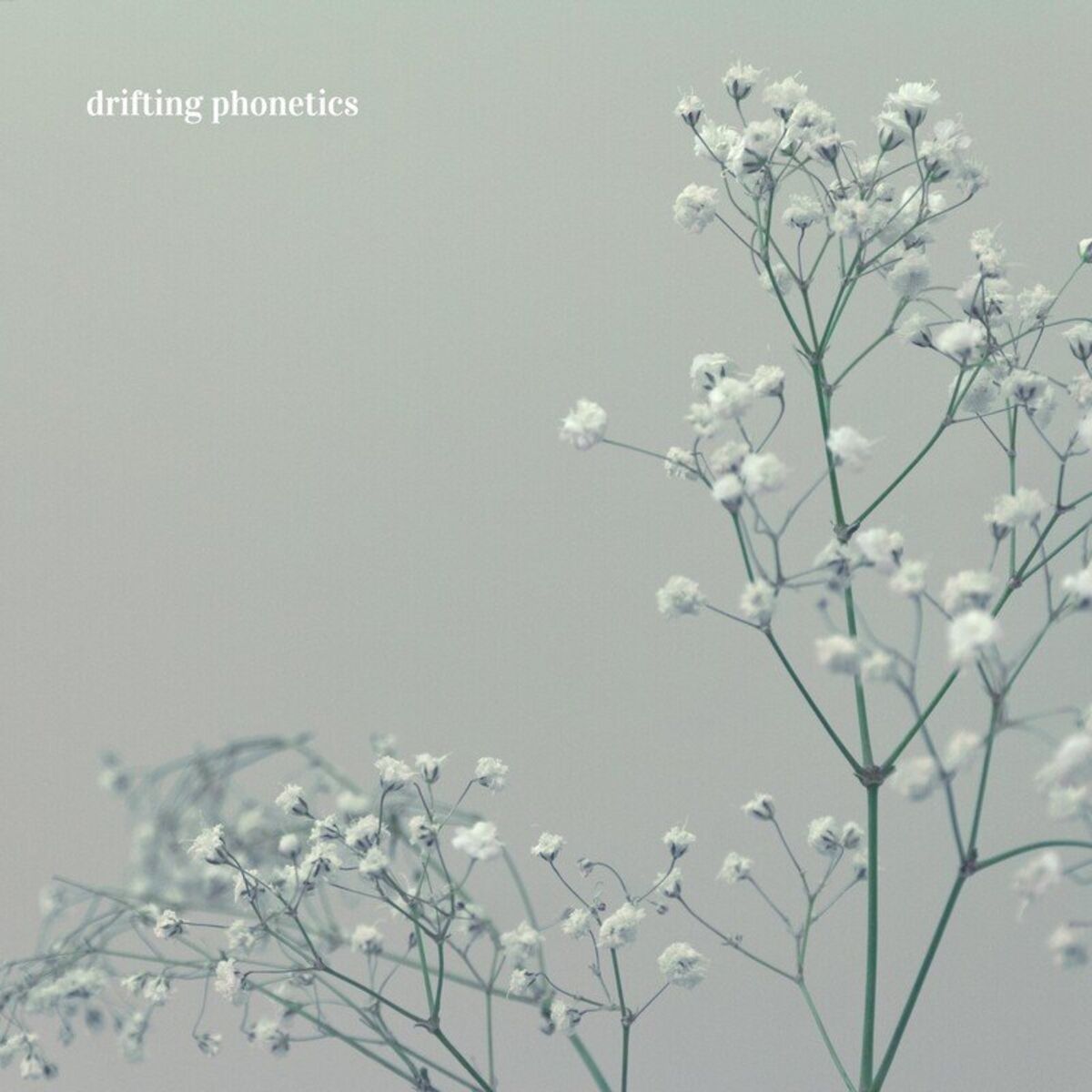 Album cover of Patterns of Gravitation