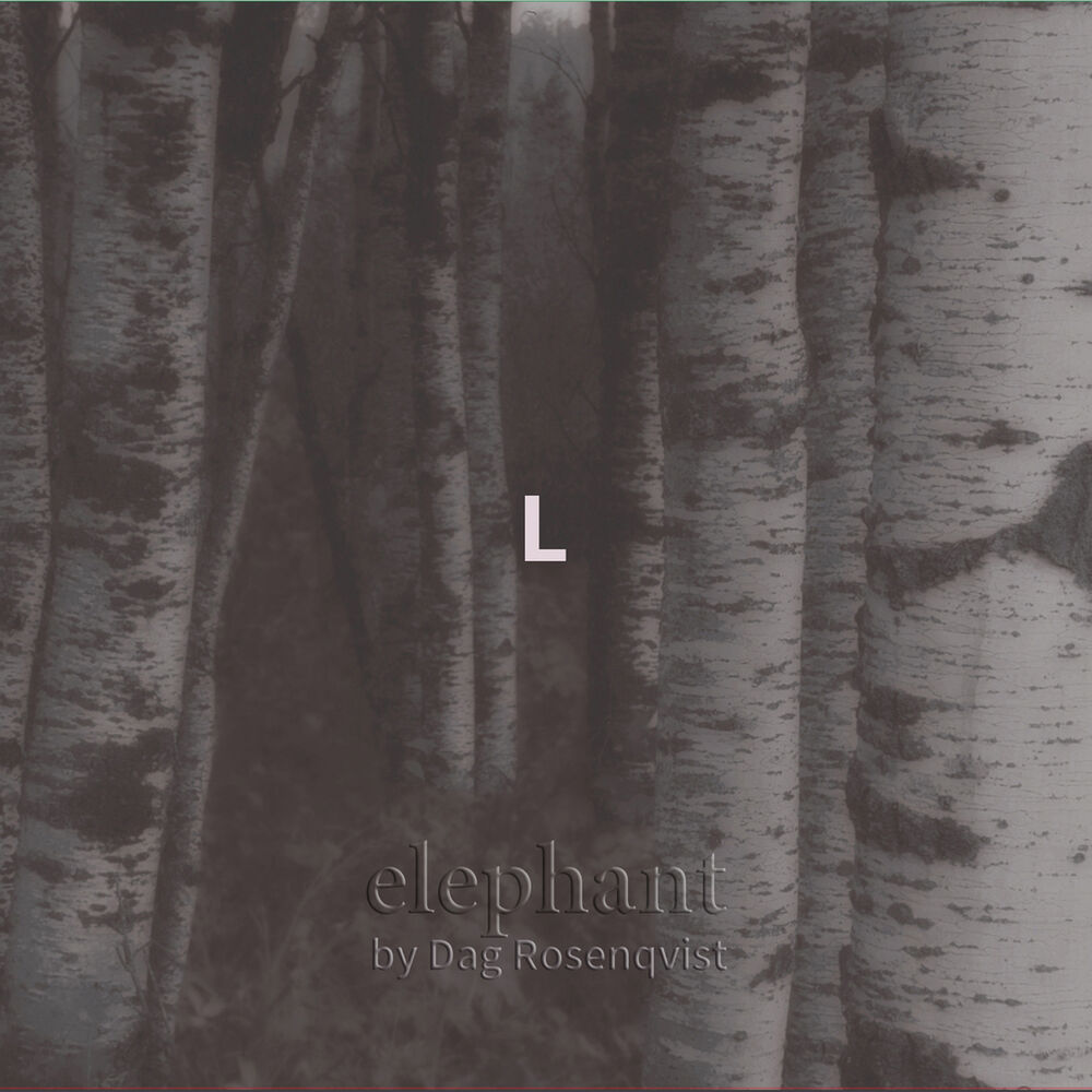 Picture of Elephant