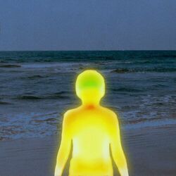 Cover of Pineapple Sunset