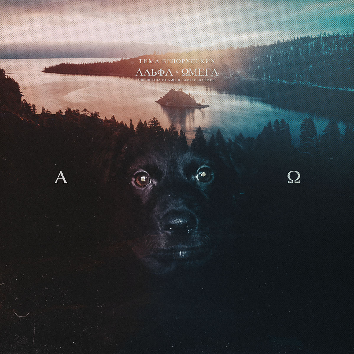 Album cover of Альфа и Омега