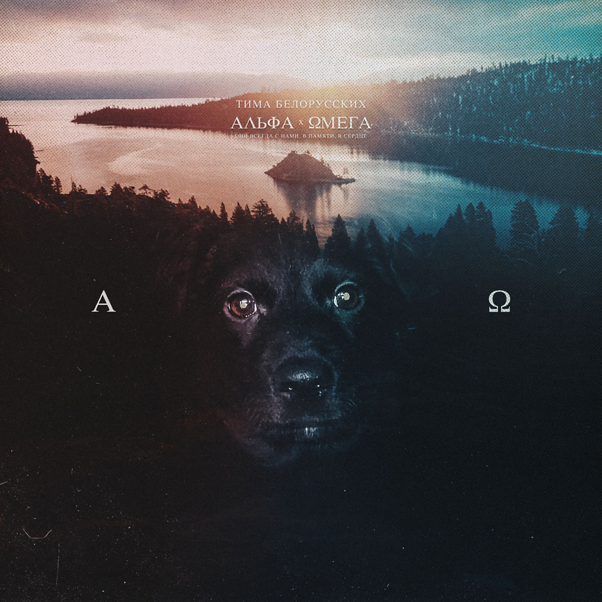 Album cover of Альфа и Омега