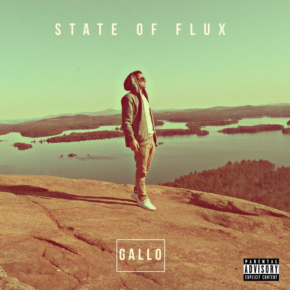 Picture of State of Flux