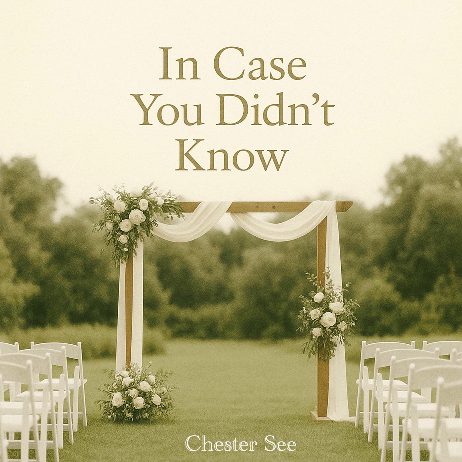 Album cover of In Case You Didn't Know