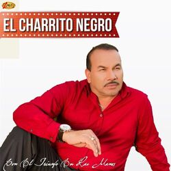 Cover of Con el Triunfo en las Manos