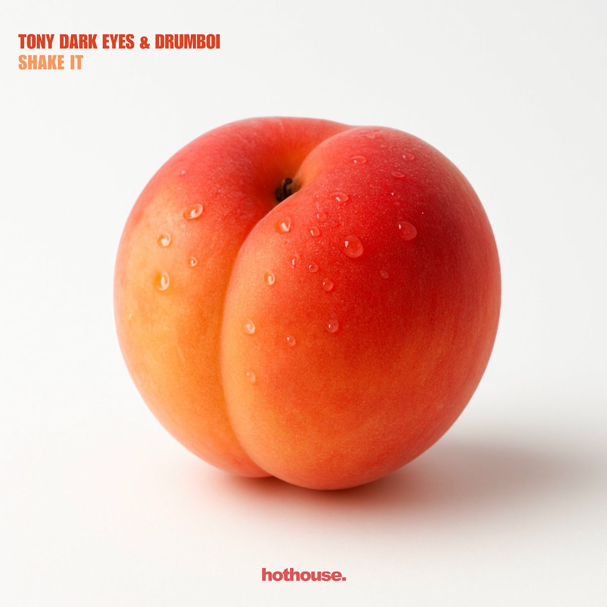 Album cover of Shake It